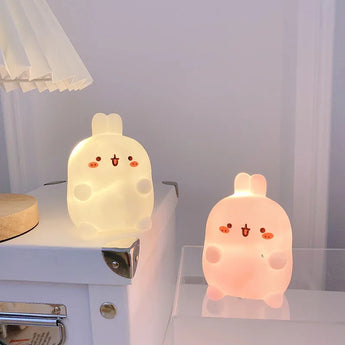 rabbit light - accessories